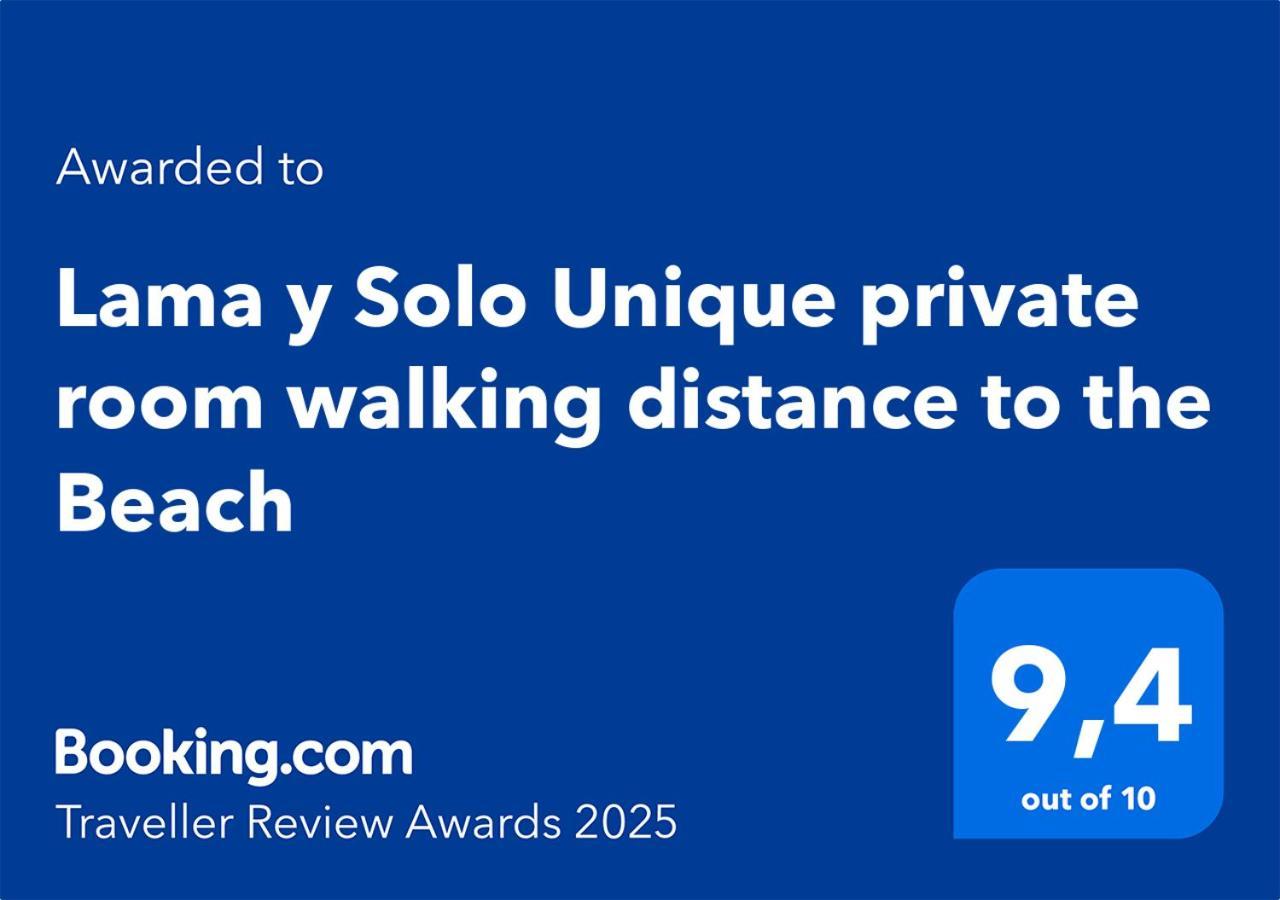 Lama Y Solo Unique Private Room Walking Distance To The Beach Palm Beach Ngoại thất bức ảnh